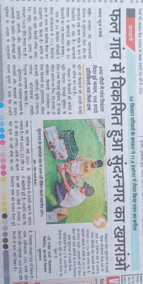 Sundernagar Mandi - News 22-06-2025